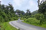 Road.JPG (11897 bytes)