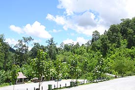 Waterfalls5.JPG (20857 bytes)