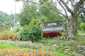 Research1.JPG (27863 bytes)