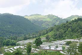 Research2.JPG (16266 bytes)