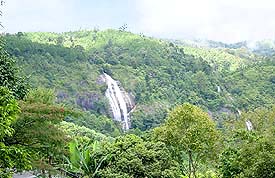 Waterfall1A.JPG (23651 bytes)