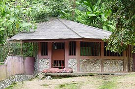 Zoo2.JPG (25229 bytes)