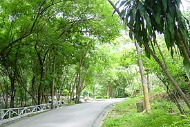 Zoo3.JPG (28522 bytes)