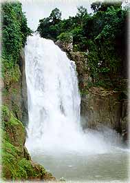 HaewNarok1L.jpg (16055 bytes)