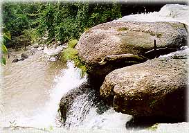 HaewSuwat1A.jpg (23650 bytes)