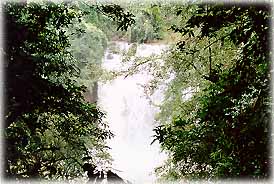 HaewSuwat2A.jpg (25100 bytes)