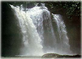 HaewSuwat3AM.jpg (16549 bytes)