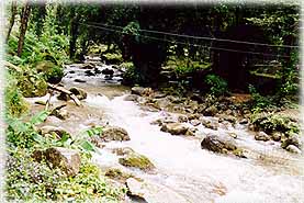 NangRong2L.jpg (23564 bytes)