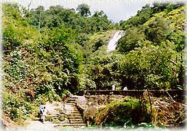 Sarika2L.jpg (29465 bytes)