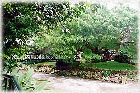 SidaResort2L.jpg (25827 bytes)