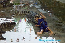 Crocodile1.JPG (24984 bytes)