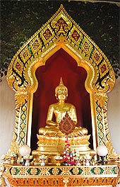 Dsc_1315M.JPG (30695 bytes)