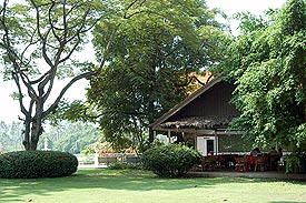 RoseGarden202.jpg (24956 bytes)