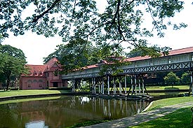 SanamChan302.jpg (22722 bytes)