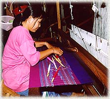 Fabric5.jpg (23638 bytes)