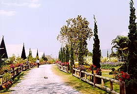 Juthamas1A.jpg (24423 bytes)