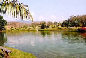 Juthamas2A.jpg (19886 bytes)