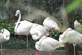 Pic530A.JPG (22745 bytes)