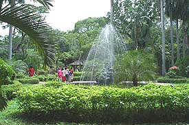 Pic543A.JPG (26943 bytes)