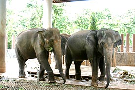 Pic563.JPG (25376 bytes)