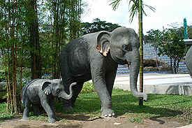 Pic577.JPG (29488 bytes)