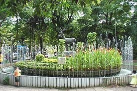 Pic588A.JPG (29363 bytes)