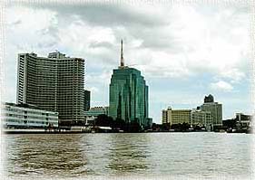 RoyalOrchid1A.jpg (17144 bytes)