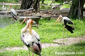 Zoo14A.JPG (35227 bytes)