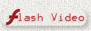 FlashVideo1A.jpg (3522 bytes)