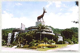 KhaoKaeow8A.JPG (18172 bytes)