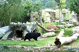 OpenZoo2A.jpg (24022 bytes)