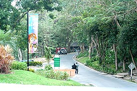 OpenZoo5A.jpg (22788 bytes)