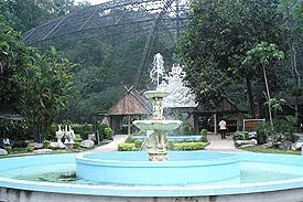 OpenZoo6A.jpg (20221 bytes)