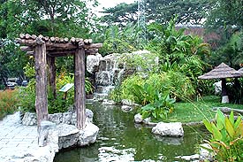 OpenZoo9A.jpg (25744 bytes)