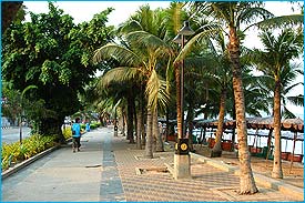 Pattaya8247C.jpg (21982 bytes)