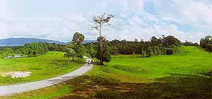 Bike1.jpg (12414 bytes)